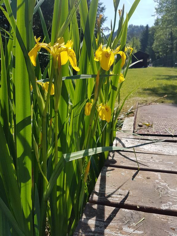 Ferienpension Garni Hubert Rigelnik Sankt Kanzian am Klopeiner See Exteriér fotografie